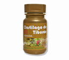 Cart�lago de Tibur�n