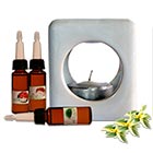 Pack Difusor con 3 Aceites Difusores