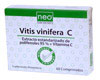 Vitis Vinifera