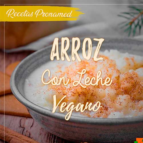 Arroz con leche vegano