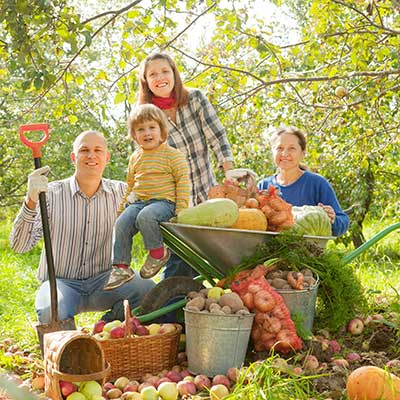 Importancia de los alimentos orgnicos en la nutricin infantil