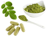 Moringa Olifeira y sus propiedades