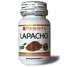 Lapacho