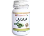 Caigua