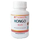 Hongo Reishi