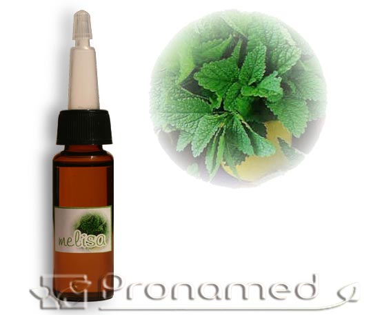 Aceite difusor Melisa - Click en la imagen para cerrar