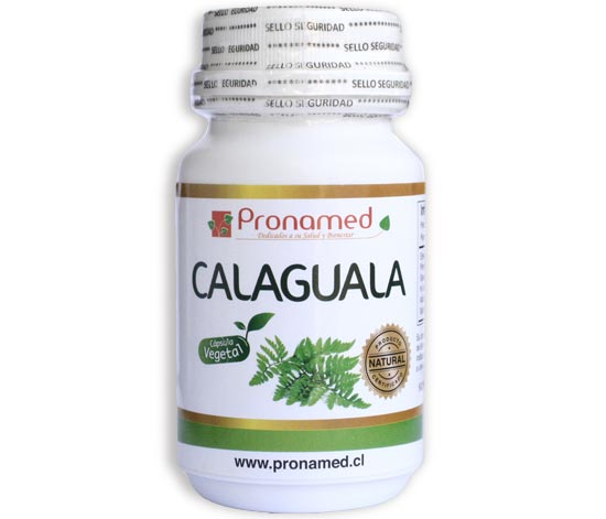 Calaguala - Click en la imagen para cerrar