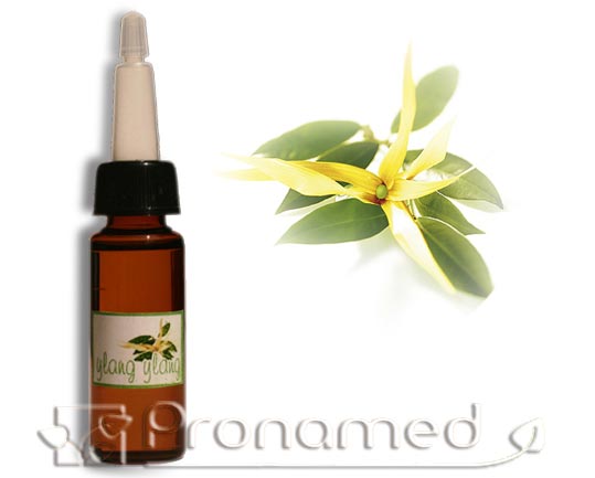 Aceite Difusor Ylang-Ylang - Click en la imagen para cerrar