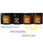 Pack 4 variedades de miel 45grs