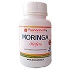 Moringa 500MG