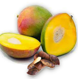 Mango Africano para Quemar Grasas